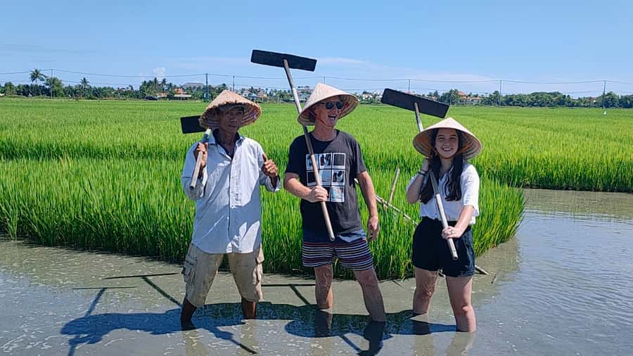 Cycling, Water Buffalo Riding, Traditional Farming Life - Who Will Enjoy This Half-Day Outing