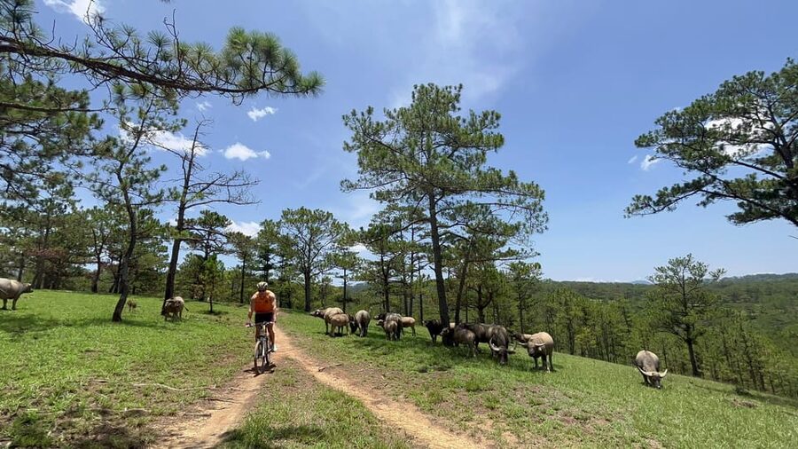 Dalat mountain biking tour - Lunch with Da Lat vegetables