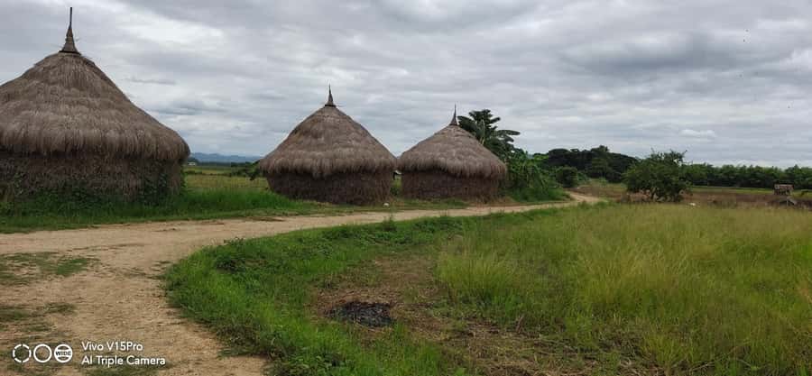 Dantewada, Sticky waterfalls, Wat banden, Paddy rice-field. - Rice fields, orchards, and village roads