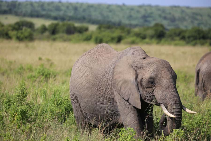Day Trip: Hell's Gate Bike Ride & Lake Naivasha Boat Ride - Lake Naivasha by boat