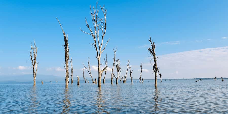 Day Trip: Hell's Gate Bike Ride & Lake Naivasha Boat Ride - Transport, pace, and group arrangements