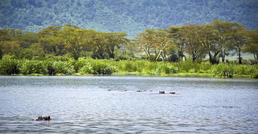 Day Trip: Hell's Gate Bike Ride & Lake Naivasha Boat Ride - Should you book Hell’s Gate and Lake Naivasha?