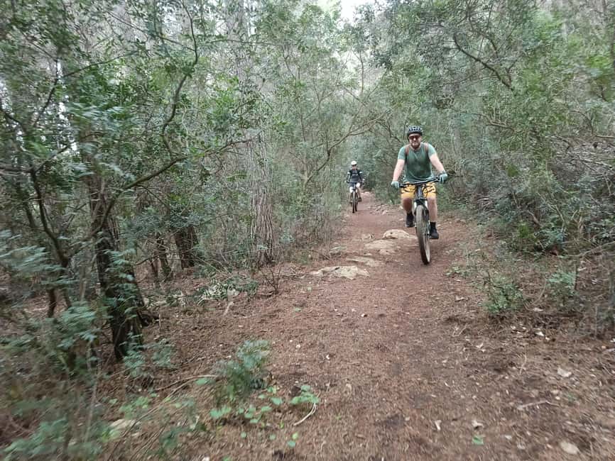 Dénia: Electric Mountain Bike Tour around Montgó - Climbing to Cabo de San Antonio