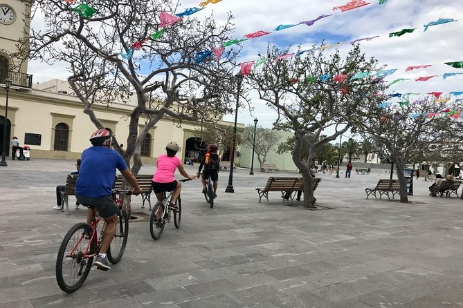 Desert Mountain Biking, fun and easy. - Why this bicycle ride works so well in San José del Cabo