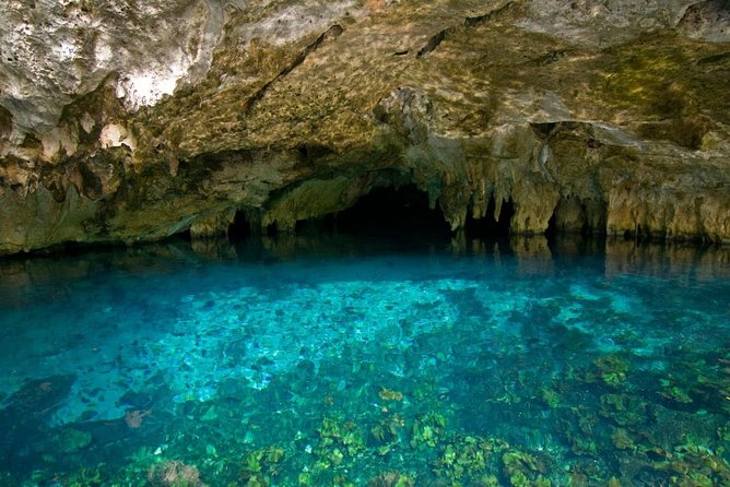 DISCOVER a Unique Secret River with Plus EXPERIENCE in Bike route & Rappel - Entering Rio Secreto from Playa del Carmen