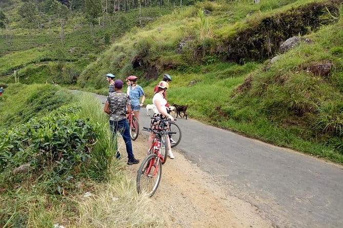 Discover Ella by Bicycle from Ella - Little Adam’s Peak and the climb above Ella