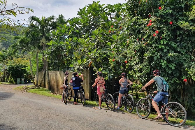 'Discover' Rarotonga Cycling Tour with Lunch - Key points at a glance