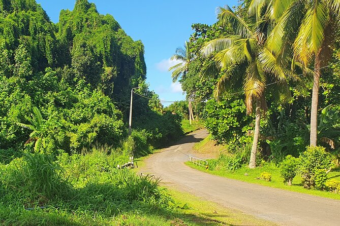 'Discover' Rarotonga Cycling Tour with Lunch - A gentle ride, not a fitness test