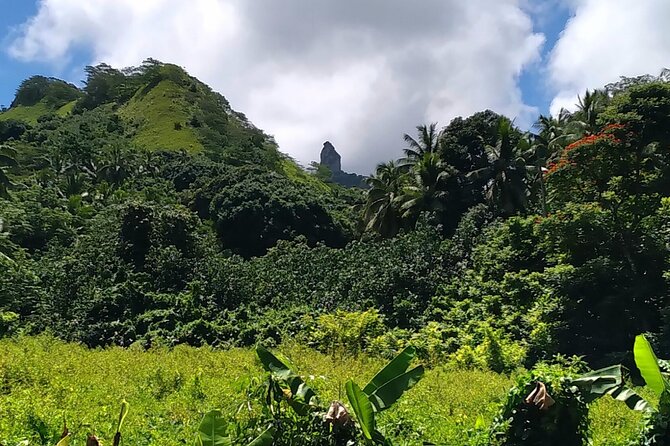 'Discover' Rarotonga Cycling Tour with Lunch - Lunch, beach time, and the finish at Rutaki