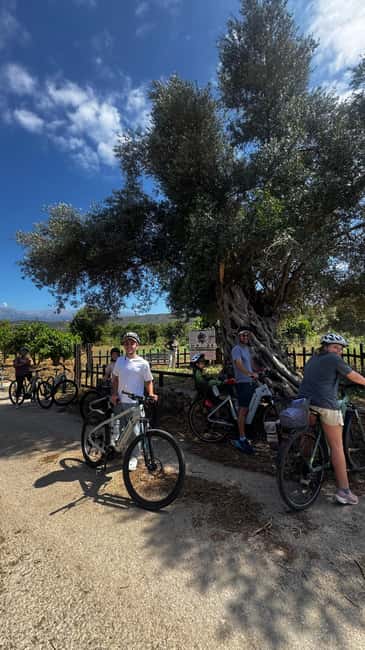 Discover the Heart of Crete on an E-Bike Adventure - What is included, and what you still pay for