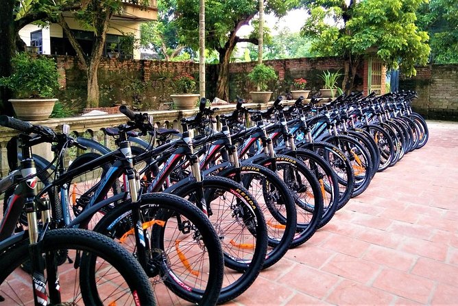 Discover Trang An Natural World Heritage, Bich Dong Pagoda, Cycling Day Tour - Cycling through Tam Coc’s rice fields