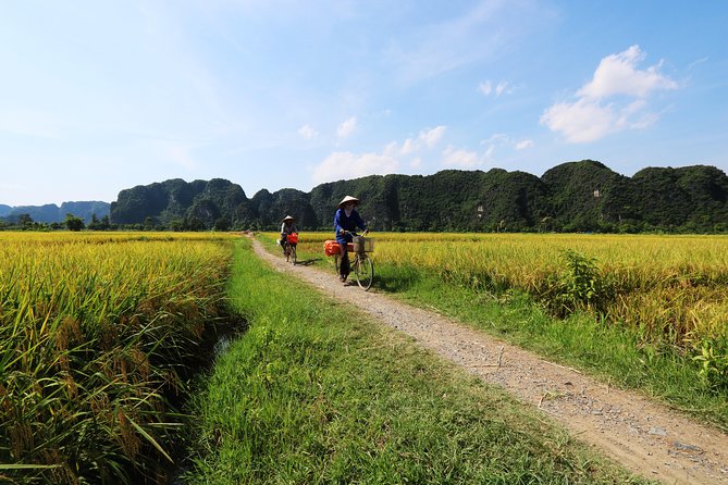 Discover Trang An Natural World Heritage, Bich Dong Pagoda, Cycling Day Tour - A local lunch and a needed pause