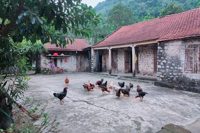 Discover Trang An Natural World Heritage, Bich Dong Pagoda, Cycling Day Tour - What the $79 price really covers