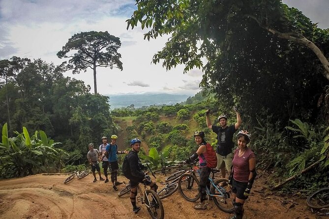 Doi Suthep National Park To Chiang Mai Beginner Downhill Mountain Biking - The views and changing scenery