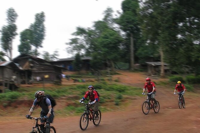 Doi Suthep National Park To Chiang Mai Beginner Downhill Mountain Biking - Stop two: Huay Tung Tao Lake