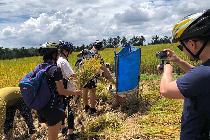Downhill Cycling Ubud with Volcano, Rice Terrace and Educational - Starting near Mount Batur