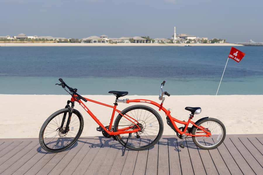 Dubai: Family-friendly Bike Adventure - Who will enjoy this most