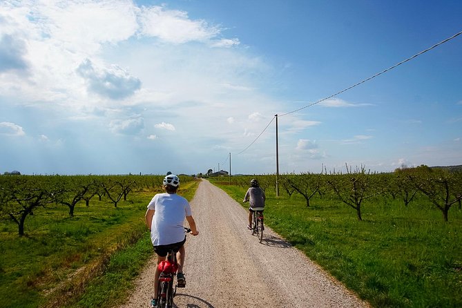 E-bike adventure among medieval castles and old villages - Key points to know before booking
