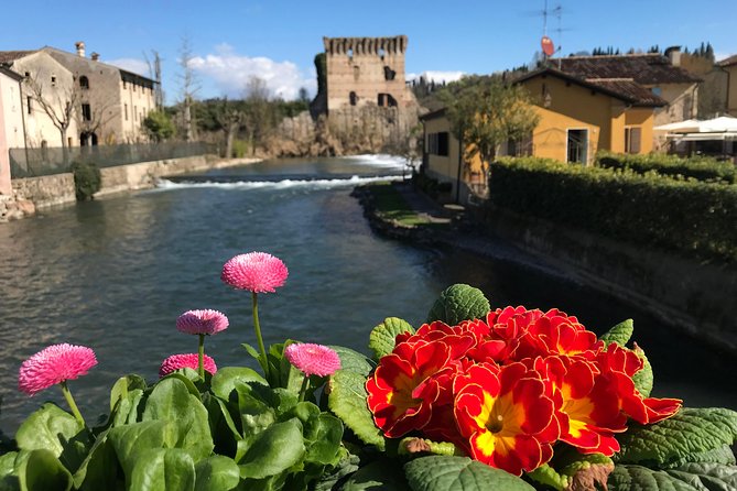E-bike adventure among medieval castles and old villages - Cycling through vineyards, fruit trees, and castles