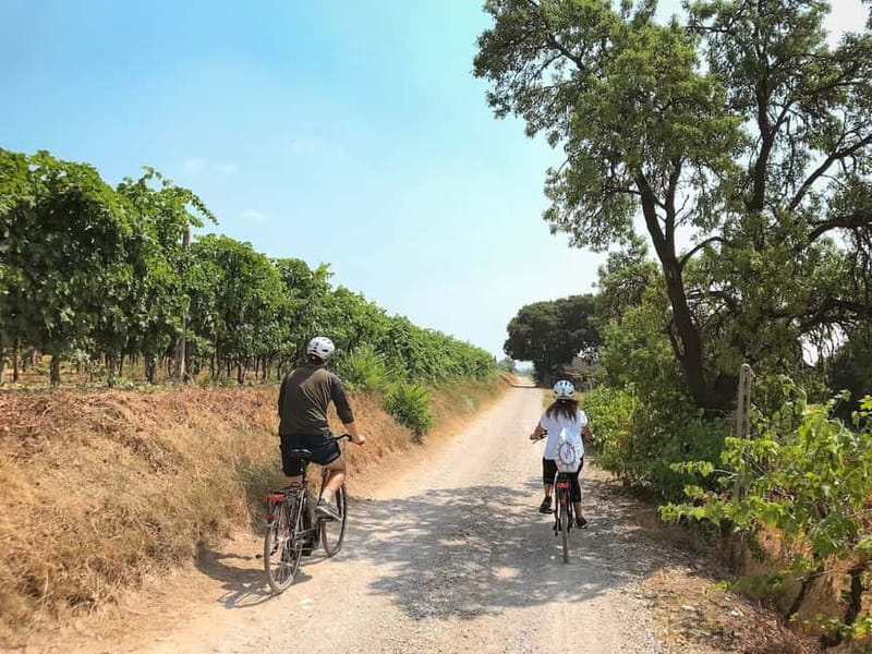 E-bike adventure among villages and medieval castles - The aperitif is part of the value