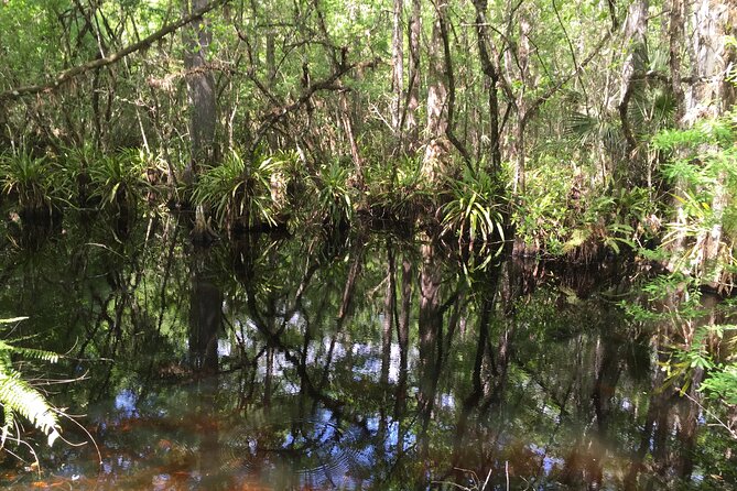 E-Bike Adventure - Fakahatchee Strand - Weather and physical demands
