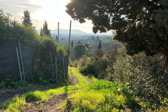 E-BIKE adventure in Montecatini Terme and Valdinievole - Why the Padule ride works so well