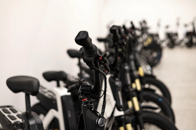 E-Bike Adventure in Rome: Ride the Ancient Appian Way - Chariot Racing at Circus of Maxentius