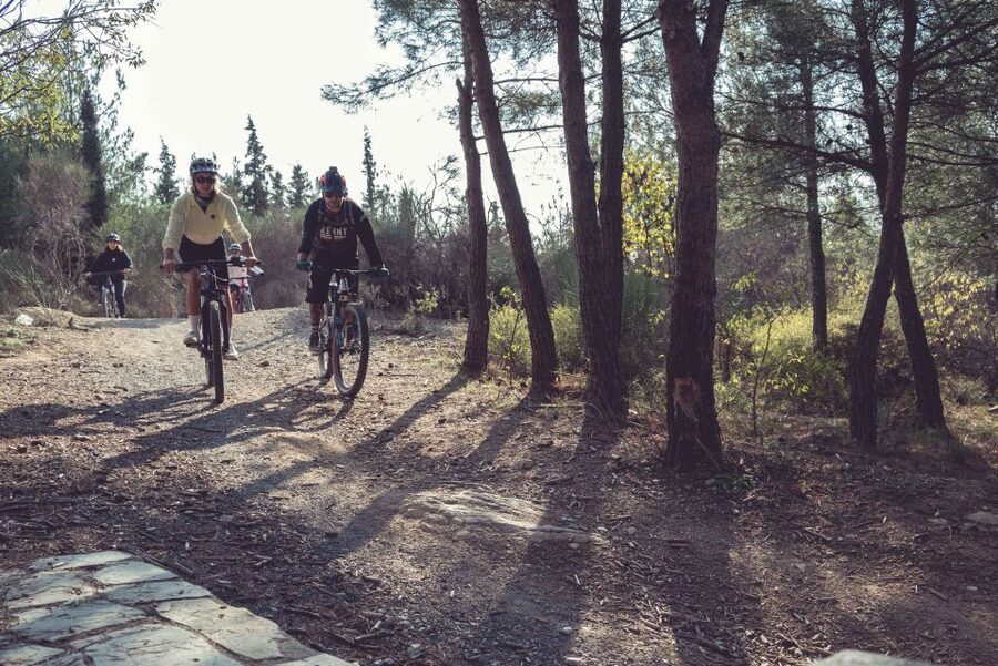 E-Bike Adventure in Thassos Island - Who should book the Ipsario Tour