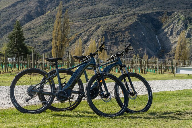 E-Bike Adventures Through the Wineries in Gibbston - Pickup from Queenstown makes the morning simple