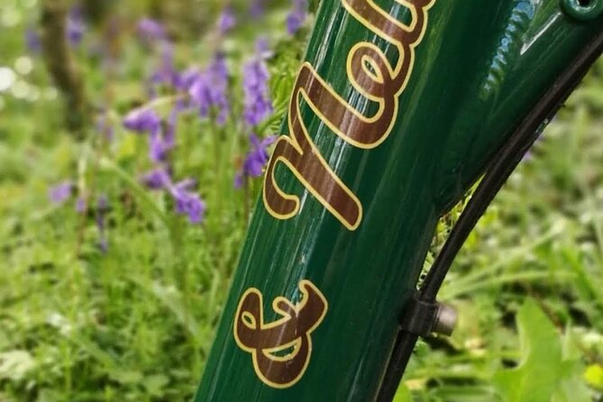 E-Bike Cycle Greenway - Westport To Achill Island Atlantic coast - Who will enjoy this ride most?