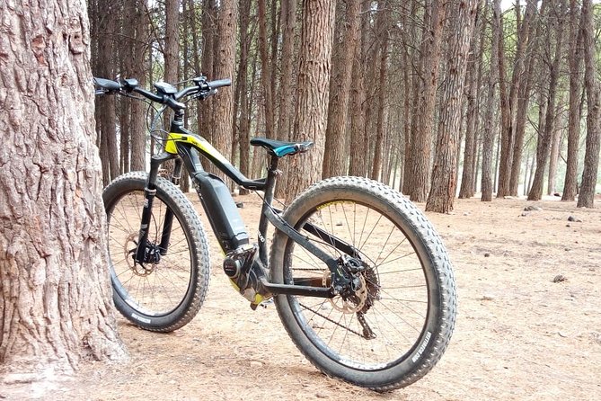 E-Bike Day trip from Marrakech to atlas Mountain imlil valley - Key points to know before booking