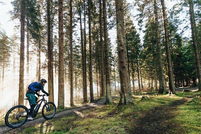 E-bike excursion exploring the Purbecks - Key points to know before you pedal