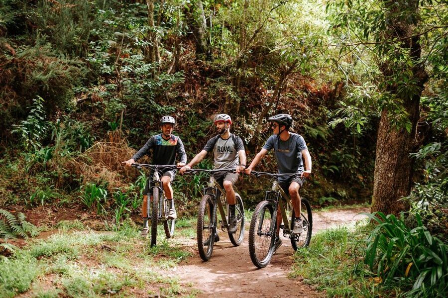 E-Bike Guided Tour - Mountain biking experience - Riding Madeira’s high levadas by e-bike