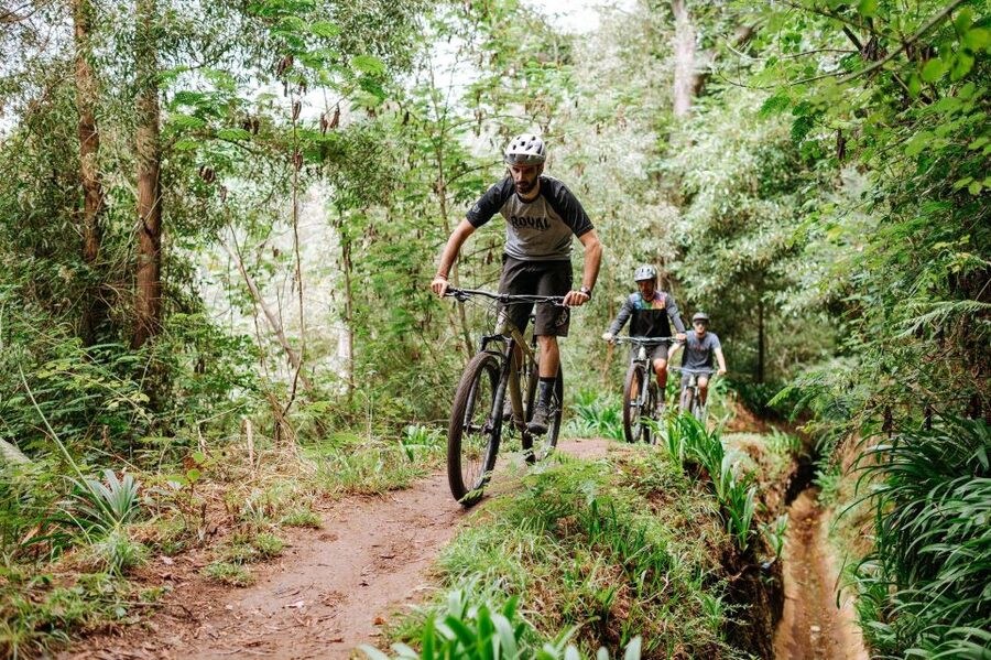 E-Bike Guided Tour - Mountain biking experience - From Funchal to Camacha by shuttle