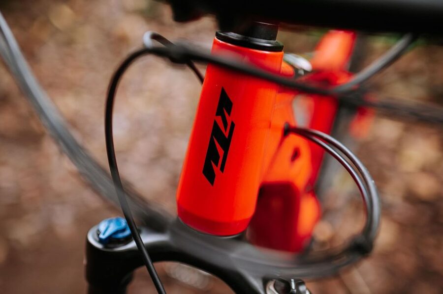 E-Bike Guided Tour - Mountain biking experience - The downhill return to Funchal