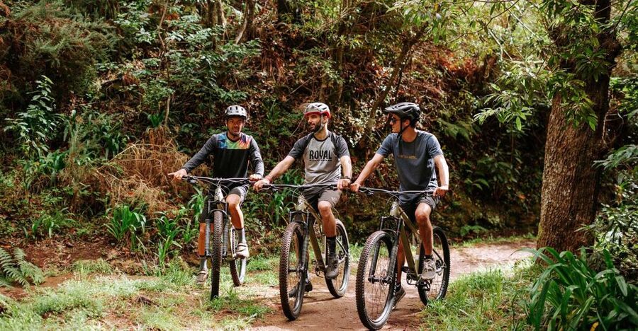 E-Bike Guided Tour - Mountain biking experience - Camacha and the traditional village stop