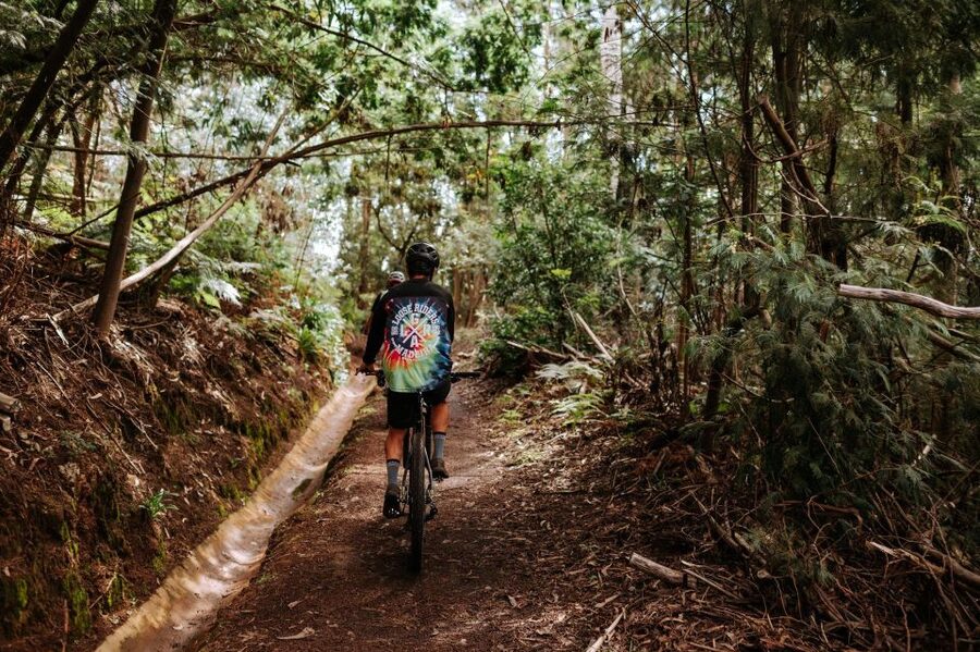 E-Bike Guided Tour - West Side Mountain Biking - The long descent toward Ponta do Pargo