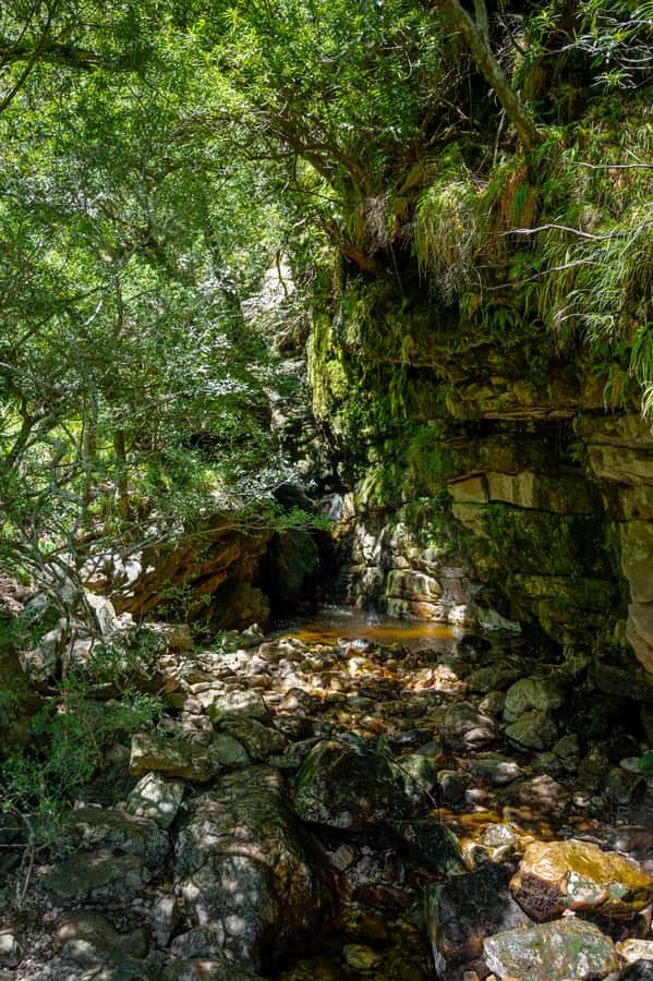 E-Bike & Hike Jonkershoek - Bike condition and comfort details