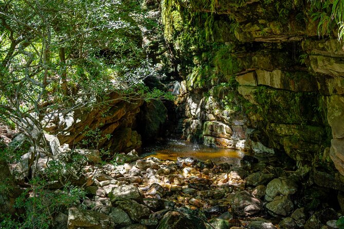 E-bike & hike Jonkershoek nature reserve Adventure, Stellenbosch - Who should book this outing