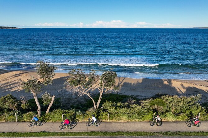 E-Bike Hire & Mountain Bike Hire Port of Eden - Views from Rotary Lookout
