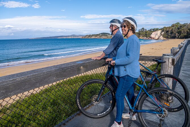 E-Bike Hire & Mountain Bike Hire Port of Eden - Who should choose the mountain bike