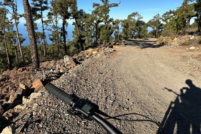 E-bike Ride at Chinyero Natural Reserve - on premium bikes - Who will enjoy this ride most
