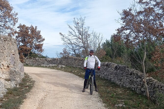 e-bike tour along the cycle path of the Apulian Aqueduct - The viewpoint near the urban vineyard
