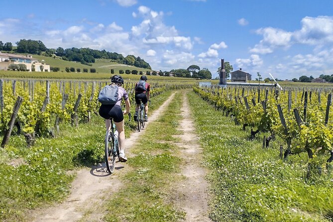 E-bike trip : From Bordeaux to Saint-Emilion with picnic lunch - Fitness, weather, and group size