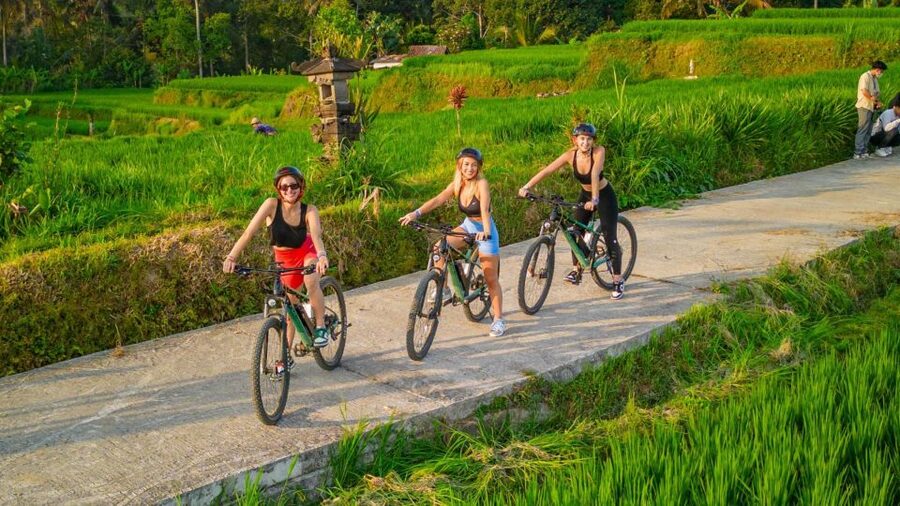 E-Bike: Ubud Rice Terraces & Traditional Villages Cycling - Practical tips for a smoother morning