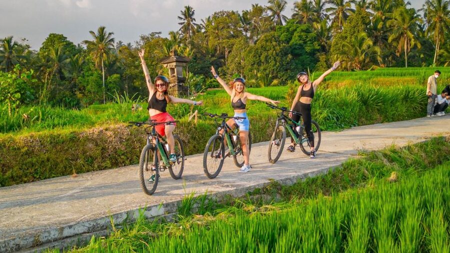 E-Bike: Ubud Rice Terraces & Traditional Villages Cycling - Riding beyond Ubud’s busy center