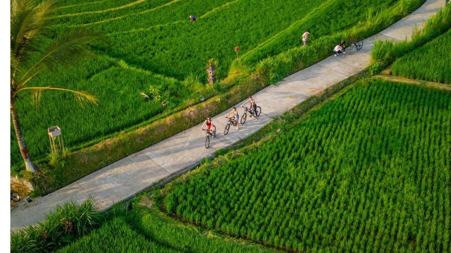 E-Bike: Ubud Rice Terraces & Traditional Villages Cycling - What the $25 price really buys
