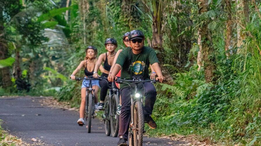 E-Bike: Ubud Rice Terraces & Traditional Villages Cycling - Who should book this ride