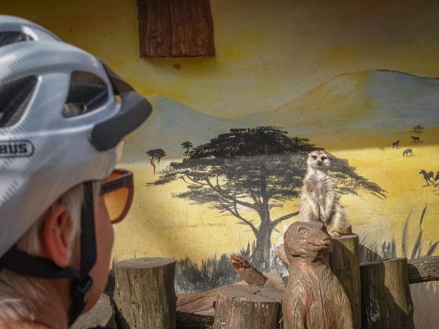 E-Mountain Bike Adventure in the Danube Bend - From Budapest to the Danube Bend in one hour