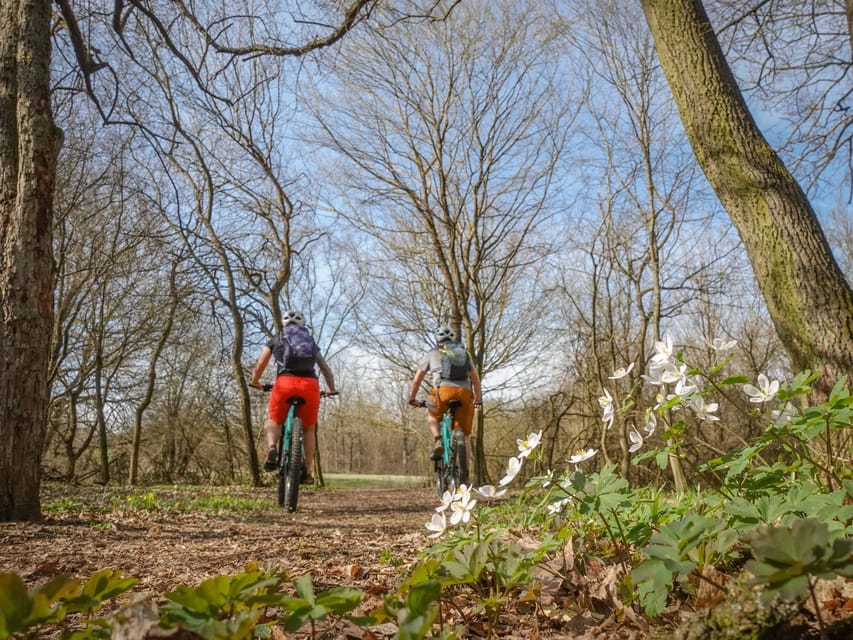 E-Mountain Bike Adventure in the Danube Bend - The descent and a drink by the river